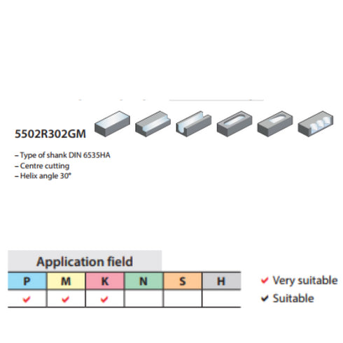 Carbide Finishing End Mill 2F 5502R302GM Details